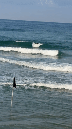 Morning surf session on the Tel Aviv coast