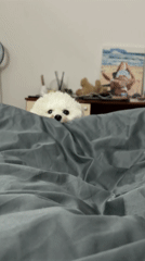 Woman enjoys ice cream treat in bed in Budva