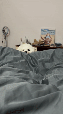 Woman enjoys ice cream treat in bed in Budva
