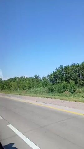 The video shows a view from a moving vehicle on a road. On the right side of the road, there is a line of trees and a clear blue sky. A silver SUV with a luggage rack on top is driving on the road in front of the camera. The road has white and yellow lines marking the lanes.