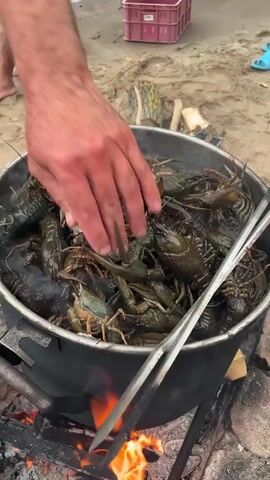 A large pot filled with live crayfish is being cooked over an open fire on a sandy beach. Tongs are used to stir the crayfish in the pot. The pot is made of black metal and has handles. The fire is burning with bright orange flames. In the background, a person's legs are visible, and they are standing on the sand near the water. There is also a pink plastic crate and some wood in the background. The overall scene depicts an outdoor cooking activity.