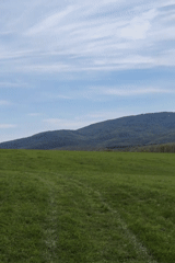 Spring agricultural activity observed in Bulgarian countryside