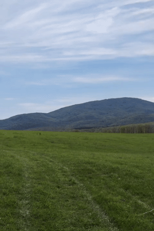 Spring agricultural activity observed in Bulgarian countryside
