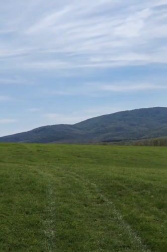 Spring agricultural activity observed in Bulgarian countryside