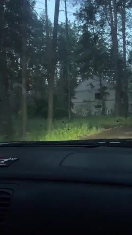 The video is filmed from the interior of a car, looking forward and slightly to the right. The car is on an unpaved road that goes through a forest. Tall pine trees line both sides of the road. In the background, through the trees, a large, dilapidated, multi-story building is visible. The building appears to be made of concrete and has a few broken windows. The lighting suggests it is either early morning or late evening. The car's headlights are on and illuminating the road ahead. The interior of the car shows a portion of the dashboard and windshield. The video captures the car moving forward, with the surrounding environment becoming blurred due to motion.