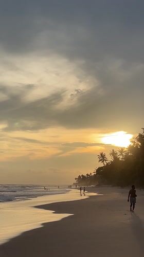 Families gather at Sri Lankan beach during golden sunset