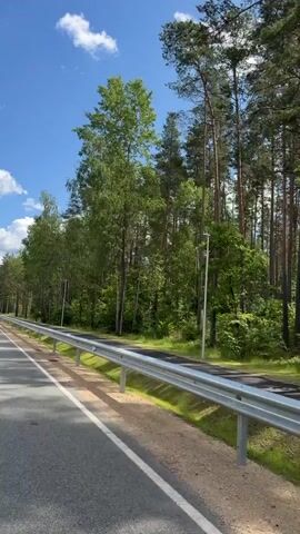 This is a first-person perspective video taken from a moving vehicle, likely a car, on a paved road. The road has a white line marking its edge and appears to be a two-lane highway. A metal guardrail runs along the right side of the road, separating it from a densely wooded area. The trees are predominantly tall, green, and appear to be a mix of deciduous and coniferous species. The sky is a vibrant blue with scattered white, fluffy clouds. The scene suggests a bright, sunny day, likely during the warmer months. There are no people or other vehicles visible in the immediate frame. The camera is looking slightly forward and to the right, capturing the passing scenery.