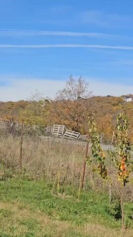 The video shows a rural landscape on a sunny day. A road runs horizontally across the middle ground. A hillside covered in trees with fall foliage is visible behind the road.  In the foreground, there is a field of grass and weeds, with two small trees and wooden fenceposts.  A utility pole stands near the edge of the road.  A couple of houses are visible on the hilltop. The sky is blue with wispy clouds.