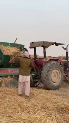 The video depicts an outdoor agricultural scene in 'Alaqadari Daman, Afghanistan, focusing on the post-harvest processing of straw or wheat stalks. Two or more men are actively engaged in manually gathering large bundles of dried straw from the ground and feeding them into a large green thresher or baler.

One man, dressed in a dark green jacket over light traditional clothing and a light-colored turban, consistently feeds material into the machine's hopper. Another worker, wearing a light pink/brown traditional outfit and head covering, transports large armfuls of straw towards the machinery. A sickle is briefly seen in a worker's hand.

The green machine, identified with the brand name "Patiala" in English and other text in a non-Latin script, is powered by an older model red tractor featuring a canvas canopy over its driver's seat.

The setting is a dry, open agricultural field, heavily covered with loose straw. The sky appears overcast or hazy, indicating daytime conditions. The environment is dusty, characteristic of the harvesting and processing activity.