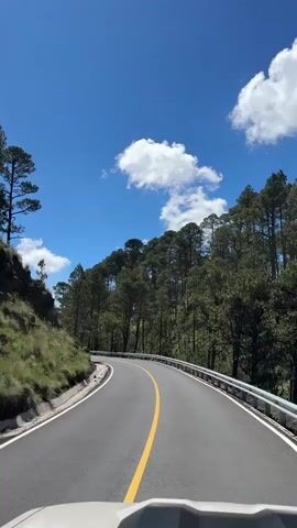 The video shows a view from a vehicle driving on a paved road that winds through a forest. The road has a yellow line down the center and a white line on the right side. There is a guardrail on the right side of the road. The left side of the road has a grassy embankment with some rocky areas. Tall pine trees line both sides of the road, with some of the trees growing on steep slopes. The sky is clear blue with a few white clouds. The perspective is from the front of the vehicle, showing the road ahead.
