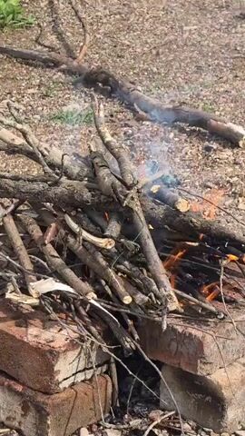 A bonfire is burning. Sticks are piled on top of bricks. Smoke rises from the fire.