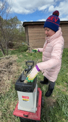 Woman operates wood chipper in rural Russian yard