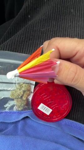 A close-up shot shows a person's hand holding a colorful cocktail umbrella. The umbrella is multi-colored with shades of pink, red, orange, and yellow. In the background, a small clear plastic bag containing green plant material (likely cannabis) rests on a blue fabric surface. Next to the bag is a red circular grinder with a barcode sticker on its lid. The person's hand moves, closing the cocktail umbrella. The background consists of a dark, possibly black, ribbed fabric.