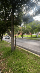 Evening street scene along a busy boulevard in Mérida, Venezuela