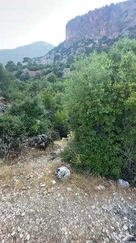 The video shows a first-person perspective of someone walking on a rocky, overgrown trail. The environment is mountainous with dry vegetation and scattered rocks. The path appears to be narrow and winding, leading uphill. There are no people or animals visible in the video. The sky is clear and blue. The overall impression is of a hike through a natural, rugged landscape.