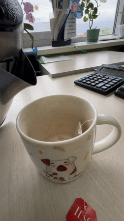 Morning tea preparation observed in Klin, Russia workplace setting