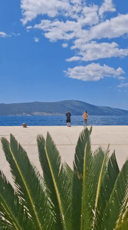 Morning scenes from Tivat: coastal walks and breakfast moments