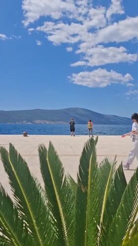 Morning scenes from Tivat: coastal walks and breakfast moments