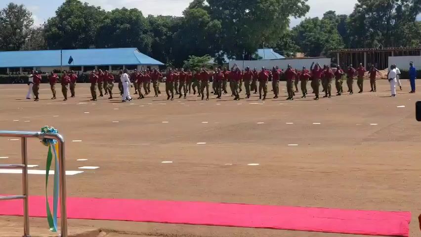 Here is a description of the video:

The video shows a large group of people dressed in what appear to be maroon shirts and tan or olive green pants, performing a synchronized marching exercise on a brown dirt field. They are arranged in neat rows and columns, suggesting a formal setting, possibly a training ground. In the foreground, there is a decorated metal barrier with the colors of the Tanzanian flag—green, yellow, and blue. A red carpet extends toward the group. Several individuals in white attire appear to be instructors or overseers, guiding the marching exercises. The scene is set outdoors on a sunny day, with trees and buildings in the background, including a blue-roofed structure and a building under construction. The overall impression is one of discipline and coordination in a military or law enforcement context.