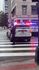 Secret Service police deploy with emergency lights in DC crosswalk