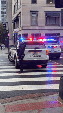 Secret Service police deploy with emergency lights in DC crosswalk