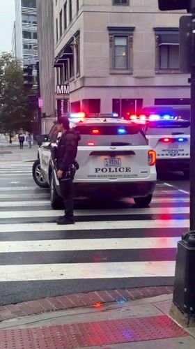 Secret Service police deploy with emergency lights in DC crosswalk