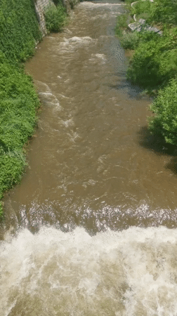 Morning walk through Blagoevgrad captures urban waterways and gardens