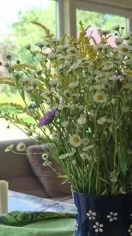 A bouquet of wildflowers, primarily white daisies with yellow centers and some yellow sprigs, is arranged in a dark blue vase with white flower accents. A single purple flower is visible within the bouquet. The vase sits on a table covered with a green placemat and a white napkin holder. In the background, through a large window, a blurred view of lush green foliage and trees is visible. A portion of a brown couch can be seen on the left side of the frame. The lighting suggests daytime.