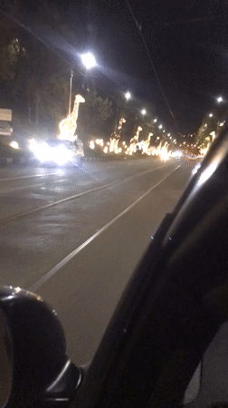 Illuminated giraffe decorations spotted along Kharkiv road divider