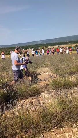 The video shows an outdoor scene under a clear blue sky. In the foreground, a man wearing a grey t-shirt, grey shorts, and headphones is holding a video camera with a fuzzy microphone attachment and appears to be filming. He is crouched down and looking intently at something on the ground. To his left, another person, mostly obscured, is also crouched down, wearing a white shirt and blue pants, and is working on the ground.

In the middle ground, a group of people, both men and women, are standing in a field of lavender. They are dressed in casual summer clothing. Some are holding what appear to be cameras or phones and are watching the activity in the foreground.

In the background, more people are visible, standing further back in the field. Beyond them, there are hills and a distant landscape, suggesting a rural or semi-rural setting. The ground is covered with dry earth and low-lying vegetation, predominantly lavender plants with purple flowers. The overall impression is of an event or filming taking place in a picturesque, sunlit field.