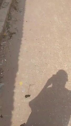 The video shows a person walking down a dusty road. On the left side of the road, there are some small buildings with what appear to be shops. There is also a drainage ditch running alongside the buildings. On the right side of the road, there are more buildings and some vegetation. The road is made of reddish-brown dirt and gravel. The sky is overcast and there are some trees visible in the distance. The person is walking away from the camera and is dressed in a dark outfit. There are also some electric poles and wires visible along the road. The overall impression is of a rural or semi-urban environment.