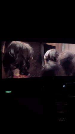 Television screens captured displaying movie content in Lovech, Bulgaria