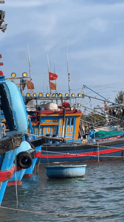 Colorful fishing fleet docked in Nha Trang harbor