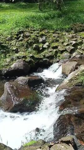 The video shows a small stream with clear water flowing over rocks. The stream creates small waterfalls as it moves down the rocky terrain. The banks of the stream are covered in green grass and moss-covered rocks. Trees can be seen in the background. The camera pans slightly to show different sections of the stream.
