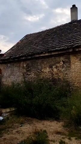 The video shows a close-up view of a stone wall of an old building with overgrown bushes in front. The roof tiles are visible, and a chimney stands out against a cloudy sky. The wall is weathered and shows signs of age, with some stones missing and mortar crumbling. The foliage is dense and appears to be encroaching on the wall. The ground in the foreground is dirt with some dry grass.