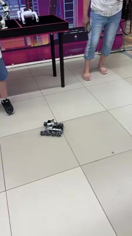A young person wearing a white t-shirt and blue shorts stands on a tiled floor, holding a remote control. They are looking down at a small, black and silver remote-controlled robot with treads, which is positioned in front of them on the floor. The robot is moving. In the background, there is a table with two robots displayed on it, one white and one black and white. Another person, mostly out of frame, is standing to the right of the table, wearing a blue shirt and sandals. The environment appears to be an indoor space, possibly a store or exhibition, with a brightly colored backdrop behind the table.