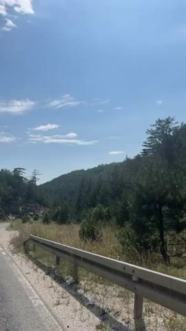 The video shows a view from a vehicle moving along a paved road through a wooded, hilly area. The road curves to the left. On the right side of the road, there is a guardrail and dry grass and vegetation. Beyond the vegetation, the hillside is covered with dense evergreen trees. The sky is blue with scattered white clouds.