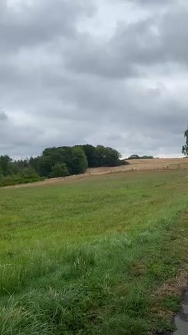 This is a vertical video taken from a slightly elevated perspective, showing a rural landscape under a cloudy sky. In the foreground, on the right side of the frame, there is a paved path that curves into the distance. To the left of the path, there is a large field of green grass. Beyond the grass field, there is a dry, yellowish field that appears to be fallow or harvested. Further in the distance, a cluster of green trees is visible on the left side of the frame, and a solitary birch tree stands next to the path in the middle ground. The sky is overcast with dark, gray clouds. There are no people or animals visible in the video. The scene is quiet and still, suggesting a serene, natural environment.