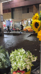 Flower market activity recorded in Mexico City