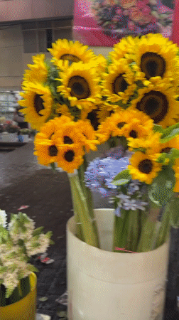 Flower market activity recorded in Mexico City