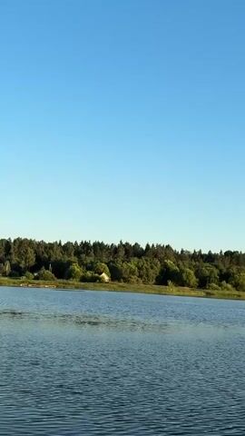 A wide shot captures a serene lake under a clear blue sky. The water is calm, with subtle ripples on its surface, reflecting the bright daylight. A dense forest borders the far bank of the lake, its lush green foliage stretching horizontally across the frame. A small, light-colored building, possibly a house or cabin, is nestled amongst the trees. The image is static and presents a peaceful natural landscape.