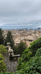 Morning documentation tour captures diverse Genoa cityscapes and landmarks