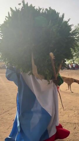 A person stands in a dirt clearing wearing a costume with a blue, white, and red flag draped over their front, with a giant orb of green leaves on their head and a green wrap on their shoulders. They are holding two sticks diagonally across their body, and a group of people stands in the background. A dog walks behind the person in the costume.
