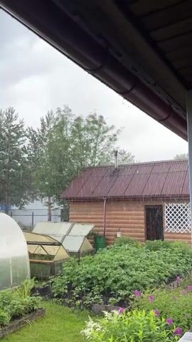 The video shows a close-up view of rain falling in a garden. The camera is positioned under a roof, looking out at a wooden house, a greenhouse, and various plants. The rain is visible as streaks falling from the sky. The house has a red roof and a chimney. The greenhouse is made of clear plastic. The plants appear to be a mix of vegetables and flowers. The overall impression is a peaceful, rural scene during a rain shower.