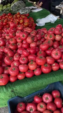 The video opens with a close-up shot of a large pile of ripe red tomatoes displayed at an outdoor market. The camera then pans across the market, revealing more stalls filled with fresh produce, including more tomatoes, lettuce, and parsley. Several people are visible in the background, browsing the stalls and interacting with vendors. The market appears to be bustling with activity, suggesting a busy shopping day.