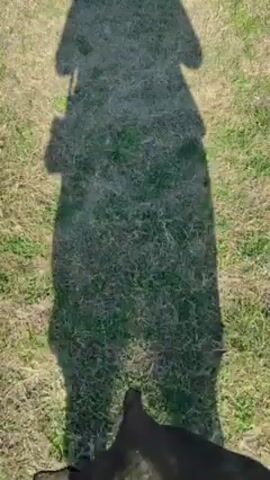 The video shows the shadow of a person standing on a patch of grass with some bare spots. The person is wearing what appears to be a long coat or dress and has a bag hanging from their shoulder. A dark colored dog is briefly visible in the lower part of the frame. The person makes a peace sign with their fingers which is reflected in the shadow. The lighting suggests it is daytime and the sun is at a low angle.