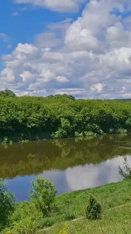 The video shows a river surrounded by lush green trees under a partly cloudy sky. The water reflects the sky and the surrounding trees. The camera slowly pans across the scene.