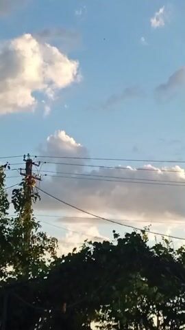 The video shows an outdoor scene with a blue sky dotted with white and gray clouds. A utility pole with wires runs horizontally across the middle of the frame. Below the wires, dark green foliage, likely trees and bushes, fills the bottom of the image. The lighting suggests it is either early morning or late afternoon, with the sun casting a warm glow on the clouds.