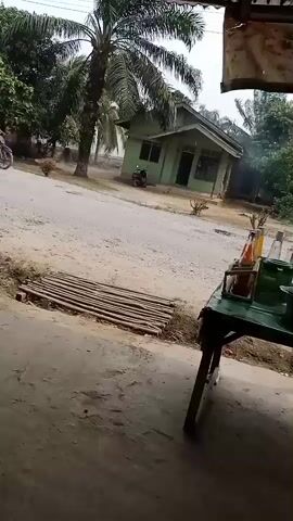 A dirt road passes in front of a green house with a palm tree to the left. A person is riding a motorcycle from left to right across the frame. In the foreground, a table is set up with bottles of what appear to be condiments. The weather is overcast.