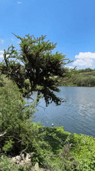 Peaceful water landscape documented in Pueblo Nuevo de Jasso